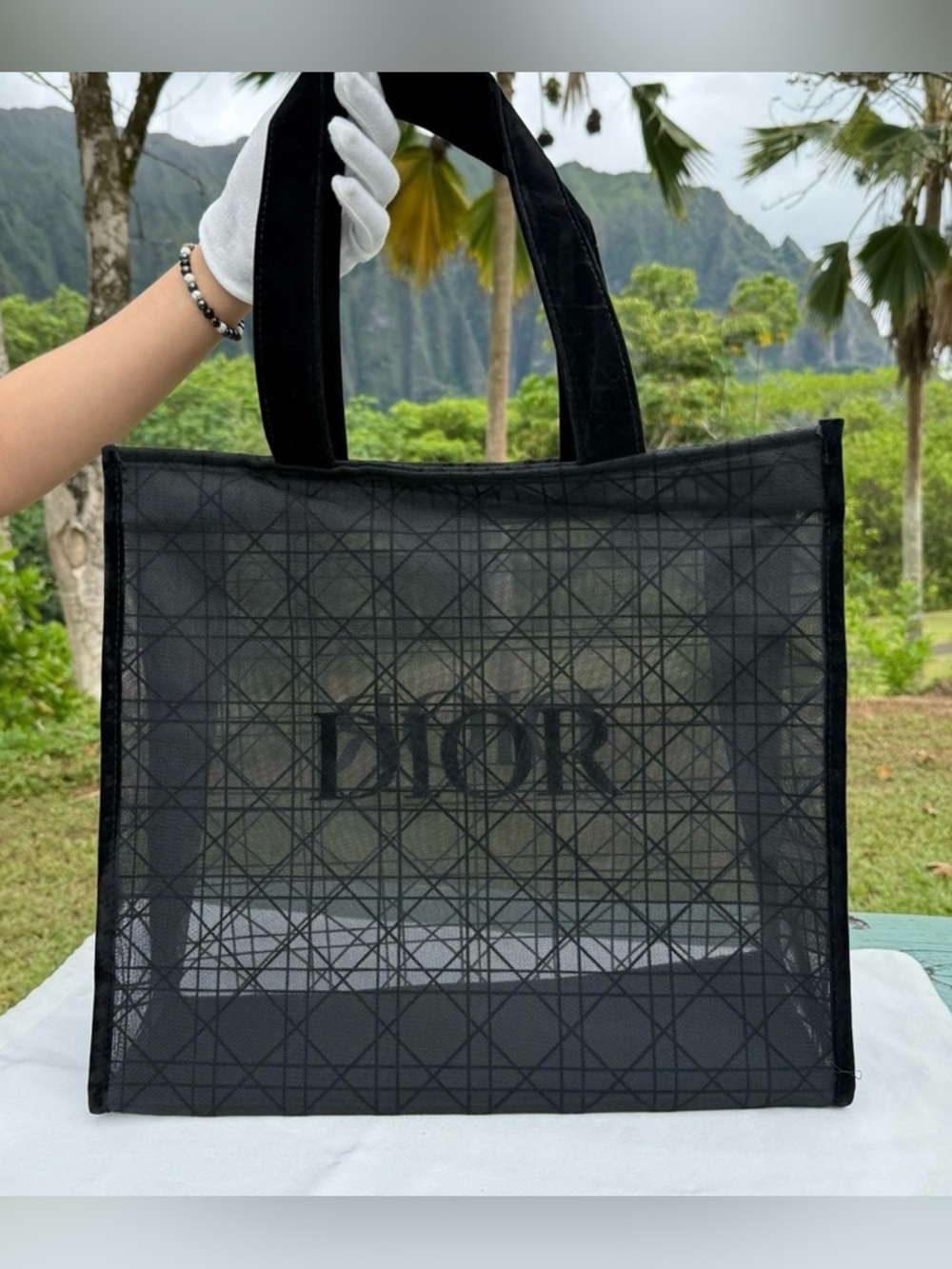 Dior Black Mesh Tote with Subtle Monogram